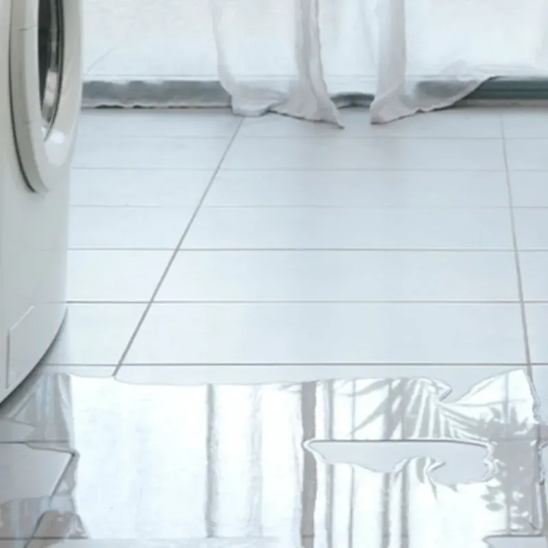 Appliance Leak Cleanup in Marion, KY