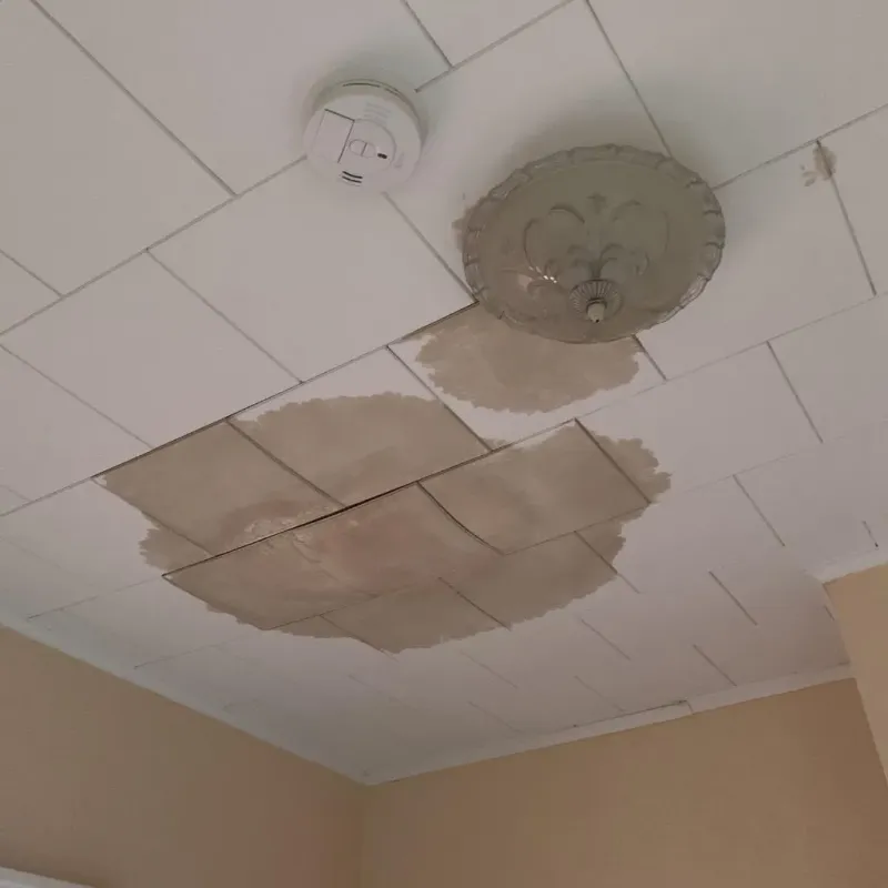Ceiling Water Damage Repair in Marion, KY