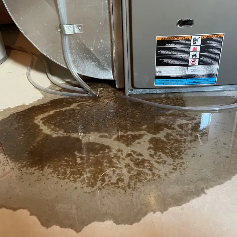 Pipe Burst and Leak Restoration in Marion, KY