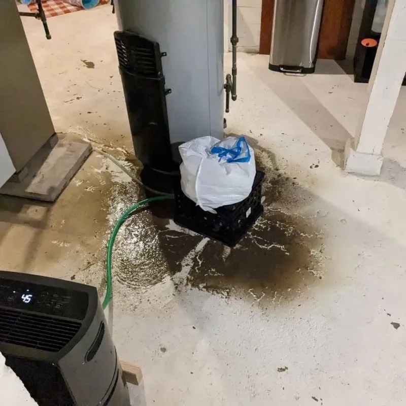 Sewage Backup Cleanup Service in Marion, KY